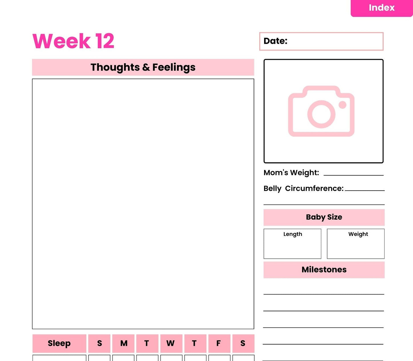 Complete Pregnancy Digital Planner, Week-by-Week Pregnacy Planner, All in One Planner, Mom to Be Planner, Gift for Her.